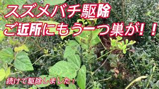 ご主人がお庭の木の剪定中にスズメバチに刺され駆除のご依頼有り、ご近所にもスズメバチの巣があるのでいっしょ駆除して欲しいとのご連絡でした。