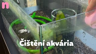 Jak vyčistit akvárium