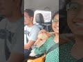 roadtrip with my dog ☺️ goldenretriever puppy shorts youtubeshorts