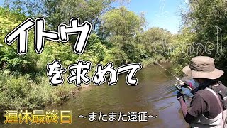 連休最終日！またまた遠征してメーターオーバーのイトウを狙う！