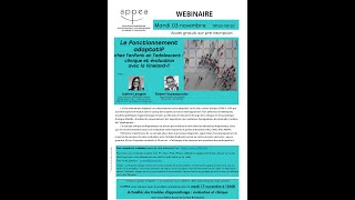 Replay du webinaire fonctionnement adaptatif chez l’enfant : clinique et évaluation Vineland-II