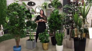 Les plantes artificielles - Decors Veronneau