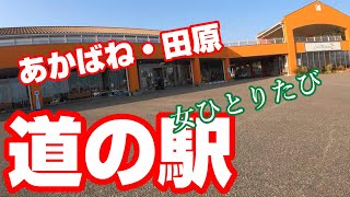 【軽自動車　女ひとりたび】道の駅　田原めっくんはうす　あかばねロコステーション