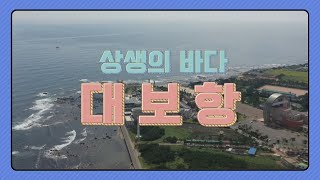 상생의 바다 호미곶 대보항