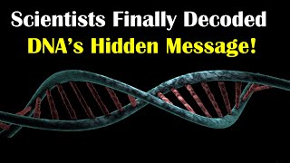 Scientists Finally Decoded The Hidden Messages in Your DNA!