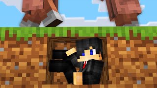 Minecraft, But It Gets Too Small…