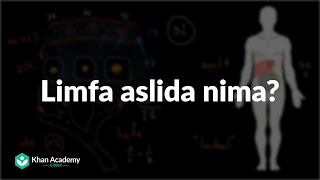 Limfa aslida nima? | Limfa tizimi haqida umumiy tushuncha | Tibbiyot