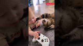 Dogs funny videos😂 || Pets Kingdom || #shorts || #dog 2021