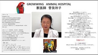 動物病院ってどんなところ？【GROW WING ANIMAL HOSPITAL】院内ツアー ショートバージョン