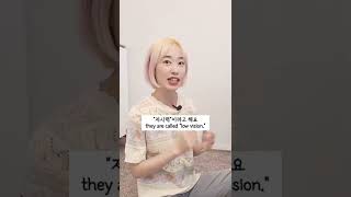 [eng]시각장애인은 앞이 아예 안 보이지 않아요? Can't blind people see at all? #shorts