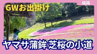 ヤマサ蒲鉾「芝桜の小道」GWお出掛け2024.4.28