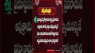 భీష్మాష్టమి రోజు తర్పణ మంత్రం తప్పకుండా చదవాలి | Simplest Tarpana Mantram In Telugu | BIG TV