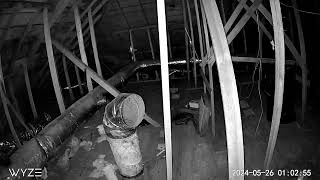 05 26 2024   Attic Orbs