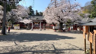 徳川東照宮から世良田東照宮まで散歩　群馬県太田市 Ohta Gunma Japan