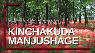 Visiting the Kinchakuda Manjushage Park by Real Japanese Gardens 2024 4K HD