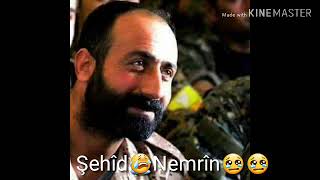 Şehîd YPG YPJ 😢😢😢😭✌✌✌✌✌✌✌✌✌