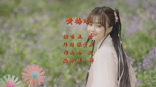 黄梅吟（演唱 王莹 作词 张贵熙 作曲 哈笑）