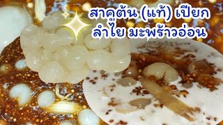 EP.61 สาคูต้น สาคูแท้เปียกลำไย มะพร้าวอ่อน ทำง่าย อร่อยด้วย