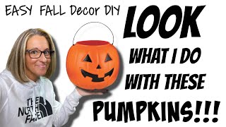 LOOK what I do with these PUMPKINS | QUICK & EASY FALL DECOR DIY on a BUDGET!