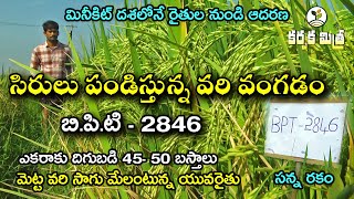 సన్న వరి రకాల్లో శ్రేష్ఠం బి.పి.టి - 2846 || New Paddy Variety BPT - 2846 || Karshaka Mitra