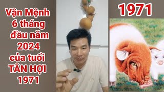 Vận Mệnh 6 tháng đầu năm của tuổi Tân Hợi 1971