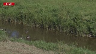 Body found in Scajaquada Creek in Cheektowaga; police say suspicious