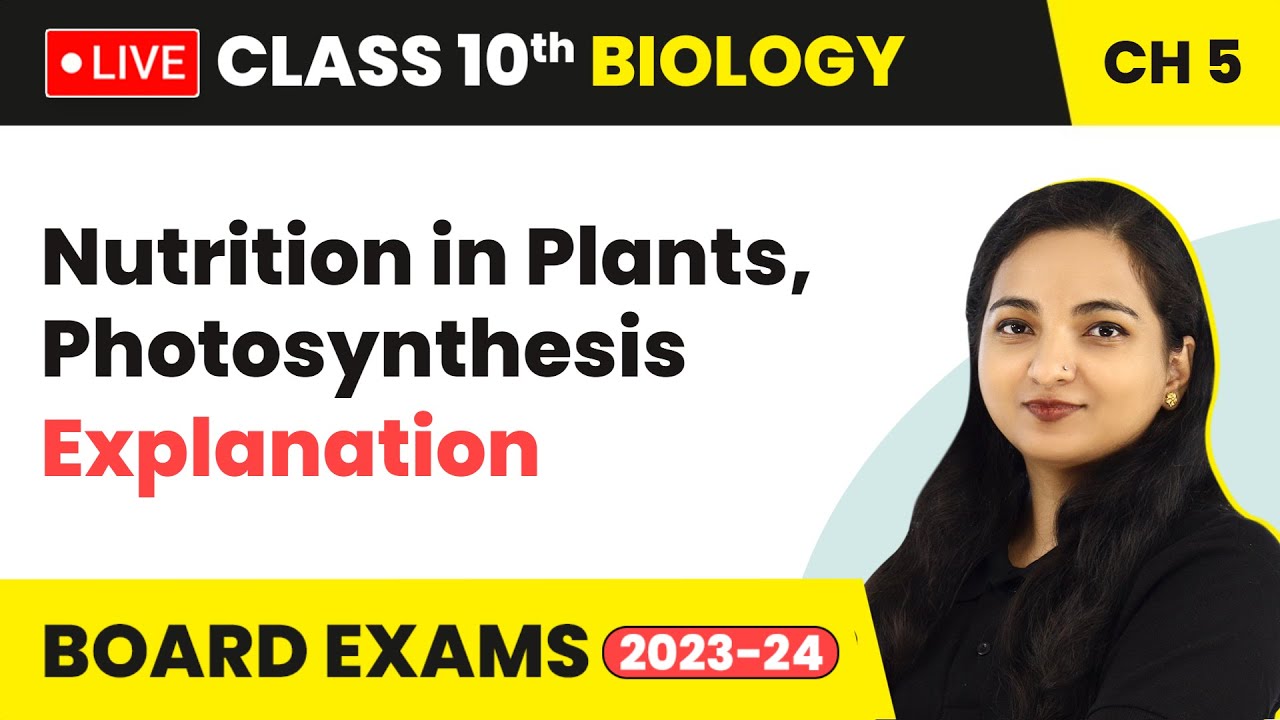 Life Process: Nutrition In Plants, Photosynthesis - Explanation | Class ...