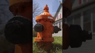 This Is How Different Colored Fire Hydrants Serve Different Purposes