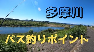 【おかっぱり】東京都昭島市　多摩川バス釣りポイント