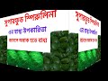 সুপারফুড স্পিরুলিনা spirulina এর স্বাস্থ্য উপকারিতা। বিশ্বের এক নাম্বার ভিটামিন।