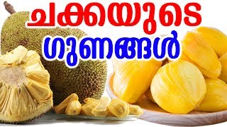 ചക്കയുടെ ഗുണങ്ങൾ |  Benefits of Jackfruit | MALAYALAM TASTY WORLD | Heath Benefits Of Jackfruit