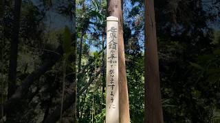 【猿田神社⛩千葉県銚子市】　#サルタヒコ#猿田神社#神社#スピリチュアル#開運