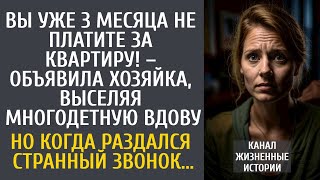 Вы уже 3 месяца не платите за жилье – сказала хозяйка, выселяя многодетную вдову… Но странный звонок