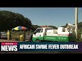 Second case of African swine fever confirmed in S. Korea