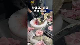 악어 고기, 다이어트 음식이었네 #악어손질 #악어고기맛