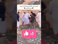 مشهد مؤثر اب يحاول ان ينقذ اطفاله من الغرق 😱