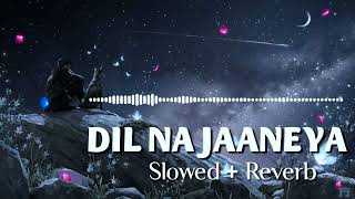 Dil na jaaneya - Lofi version ( Slowed + Reverb ) - Arijit Singh