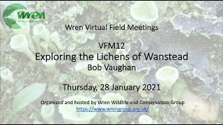 Exploring the Lichens of Wanstead with Bob Vaughn