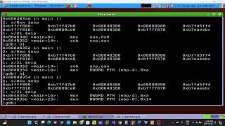 Stack creation. Using GDB to find variables within the stack for simple buffer overflow exploit.