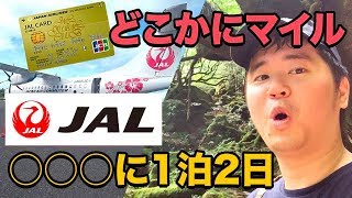 JALどこかにマイルで当たりでた!!JALカードの魅力も改めて紹介