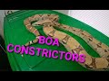 Redtail Boa Constrictors ,  IMG , Moonglow, Argentine and MORE