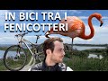 In bici tra fenicotteri sul Delta del Po