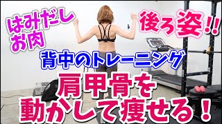 【背中】肩甲骨をほぐして代謝アップ！【初心者向け】