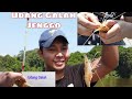 Prawns Fishing / Shimp Fishing Mancing Udang Galah | Jenggo | Sungai Terengganu