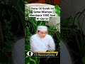 baca 1x surah ini sama nilainya membaca 1000 ayat al qur an guru bakhiet videoshort