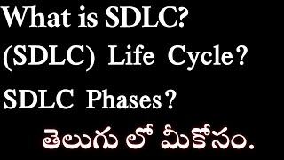 What is SDLC Life Cycle? SDLC Phase| Manual Testing Tutorial For Beginners| #Tech agent 2.0 #testing