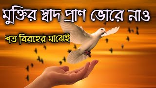 motivational video/morning affirmation/bengali motivational quotes/motivational poem bengali