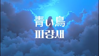 🌌青い鳥と流れる星: 心の迷宮から希望へ、파랑새 [한글가사] 切なくも美しい歌声が奏でる、孤独と癒しの物語💫,弾き語り, 心に響,く情緒的 #夏の終わり #心の旅 #思い出 #夢幻的 #深夜の音楽