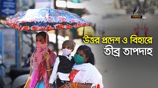 ভারতের উত্তর প্রদেশ ও বিহারে তীব্র তাপদাহ; প্রায় একশ' জনের প্রা'ণ'হা'নি