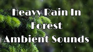 🌧️8 hours of Relaxing Heavy Rain In Forest Ambient Sound Black screen after 10 sec Meditation Sleep